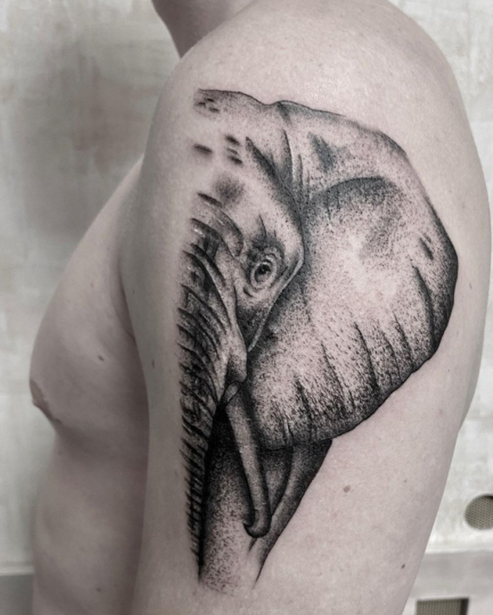 Elefant Tattoo Schulter Arm Lübeck